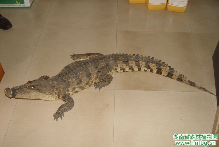 AG旗舰厅(中国游)官方网站