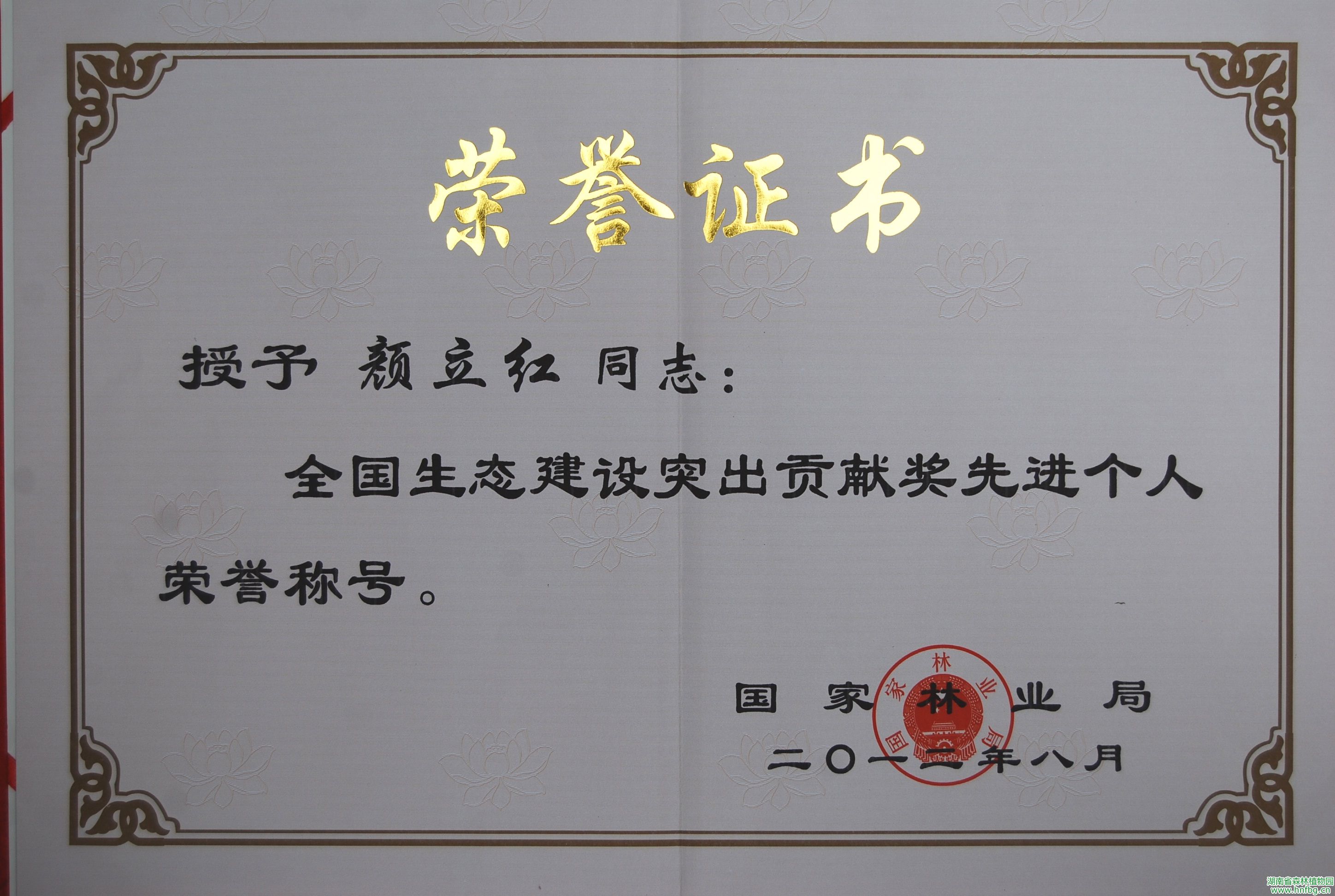 AG旗舰厅(中国游)官方网站