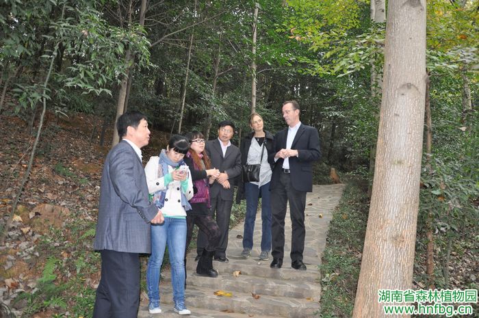 AG旗舰厅(中国游)官方网站