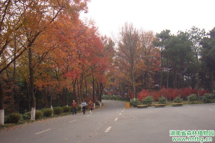 AG旗舰厅(中国游)官方网站