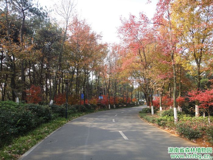 AG旗舰厅(中国游)官方网站