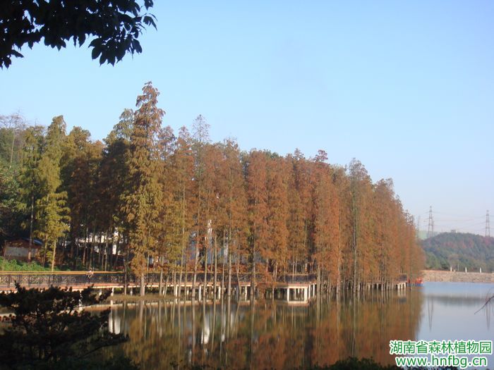 AG旗舰厅(中国游)官方网站