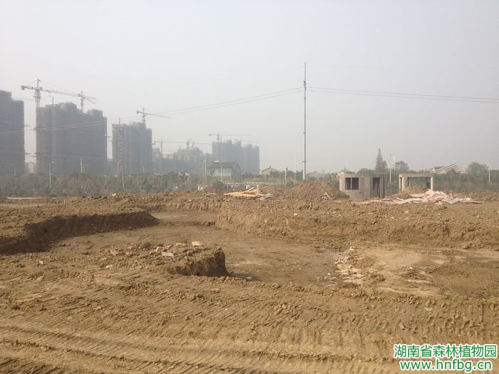 AG旗舰厅(中国游)官方网站