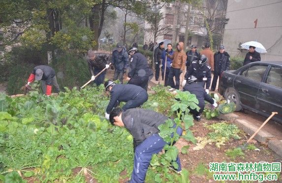 AG旗舰厅(中国游)官方网站