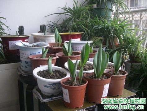 AG旗舰厅(中国游)官方网站