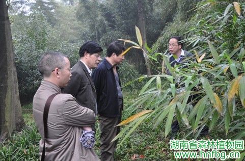AG旗舰厅(中国游)官方网站