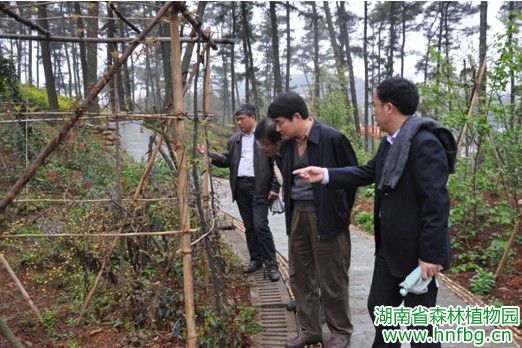 AG旗舰厅(中国游)官方网站