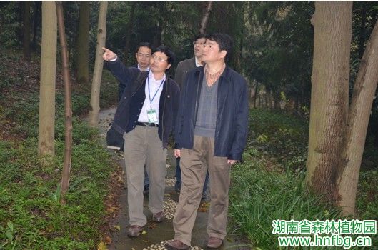 AG旗舰厅(中国游)官方网站