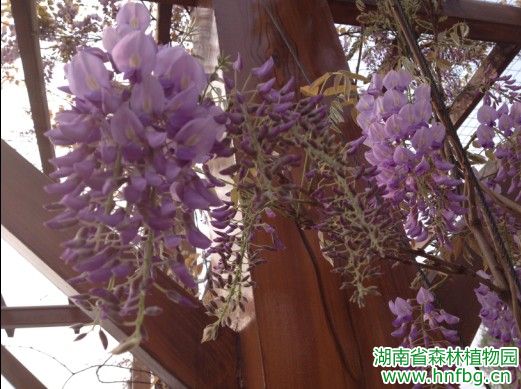 AG旗舰厅(中国游)官方网站