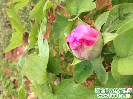 AG旗舰厅(中国游)官方网站