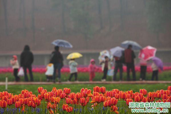 AG旗舰厅(中国游)官方网站