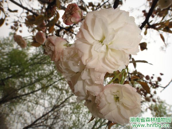 AG旗舰厅(中国游)官方网站
