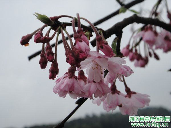 AG旗舰厅(中国游)官方网站