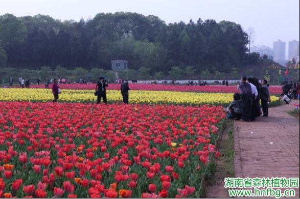 AG旗舰厅(中国游)官方网站