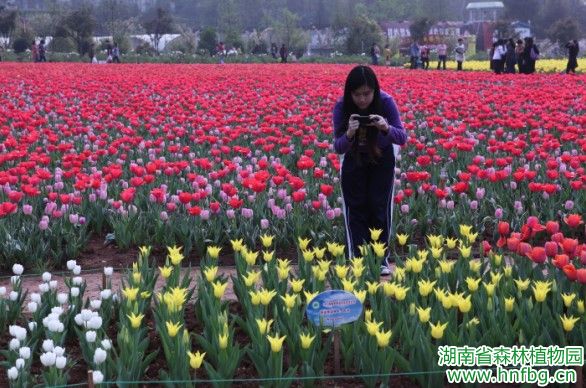 AG旗舰厅(中国游)官方网站