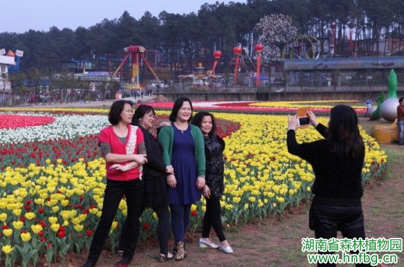 AG旗舰厅(中国游)官方网站