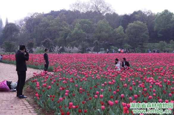 AG旗舰厅(中国游)官方网站