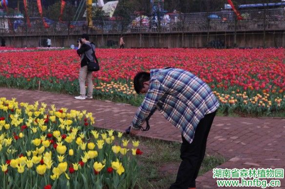 AG旗舰厅(中国游)官方网站