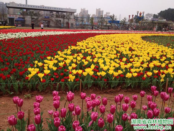 AG旗舰厅(中国游)官方网站
