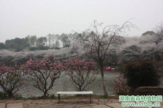 AG旗舰厅(中国游)官方网站