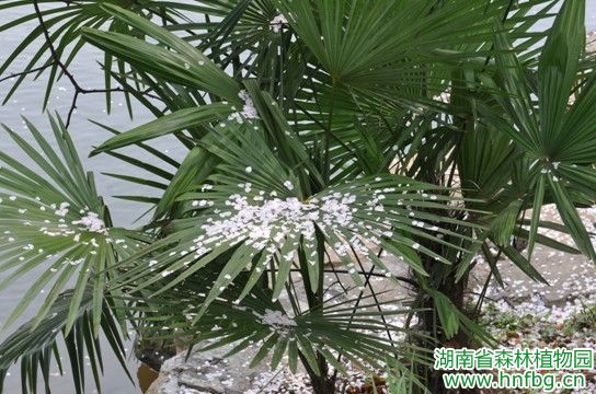 AG旗舰厅(中国游)官方网站