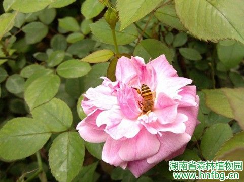 AG旗舰厅(中国游)官方网站
