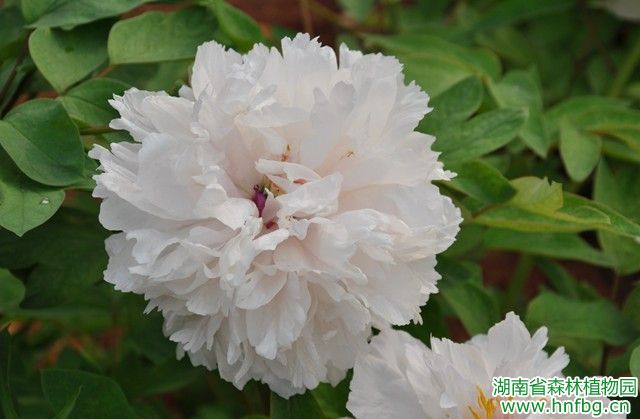 AG旗舰厅(中国游)官方网站