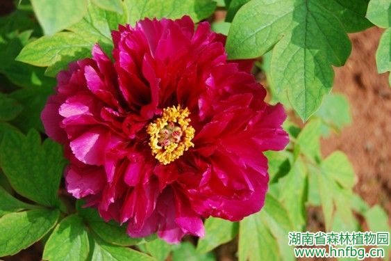 AG旗舰厅(中国游)官方网站