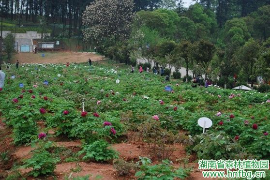 AG旗舰厅(中国游)官方网站