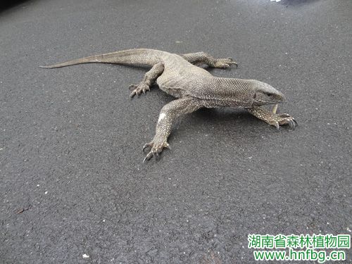 AG旗舰厅(中国游)官方网站