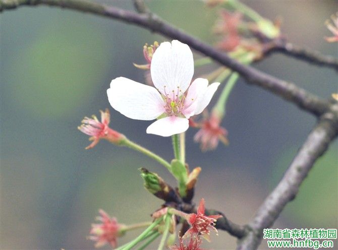AG旗舰厅(中国游)官方网站
