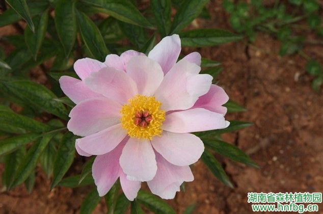 AG旗舰厅(中国游)官方网站