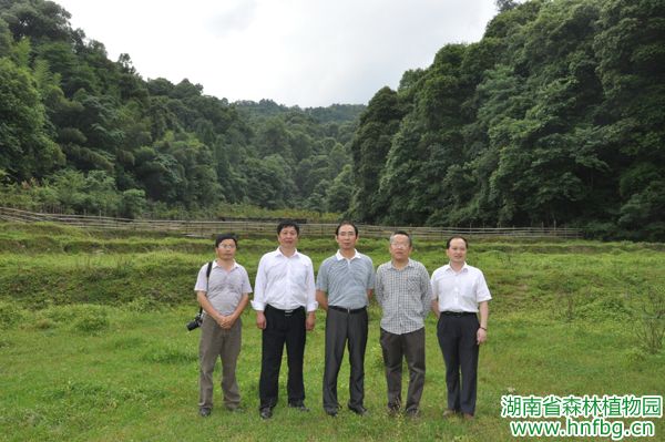 AG旗舰厅(中国游)官方网站