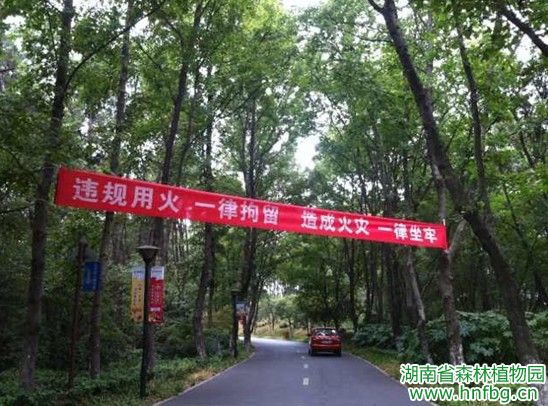 AG旗舰厅(中国游)官方网站