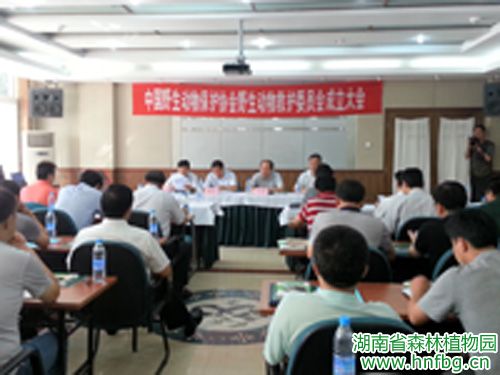 AG旗舰厅(中国游)官方网站