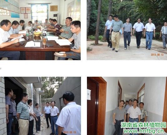 AG旗舰厅(中国游)官方网站
