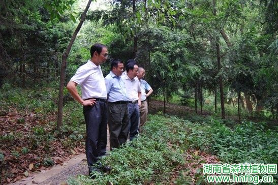 AG旗舰厅(中国游)官方网站
