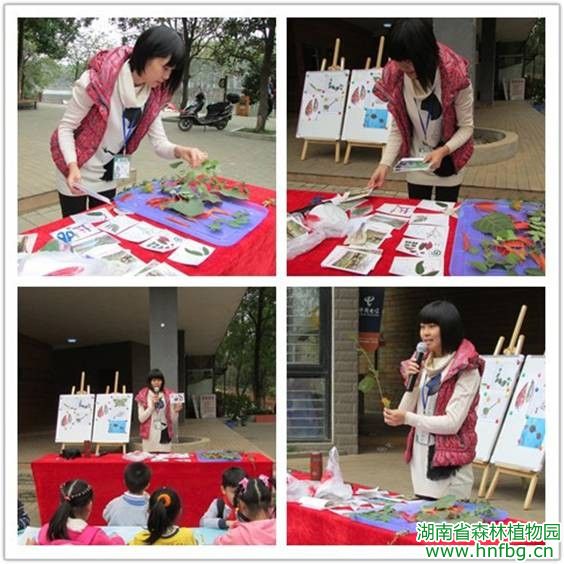 AG旗舰厅(中国游)官方网站