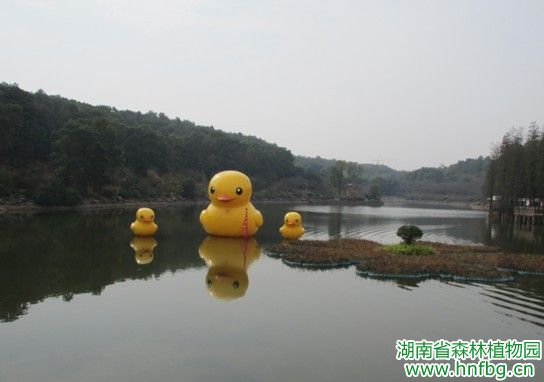 AG旗舰厅(中国游)官方网站