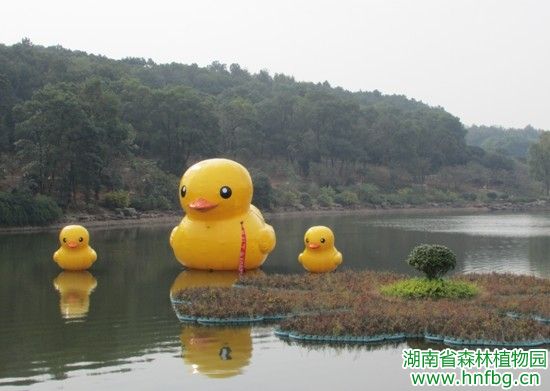 AG旗舰厅(中国游)官方网站