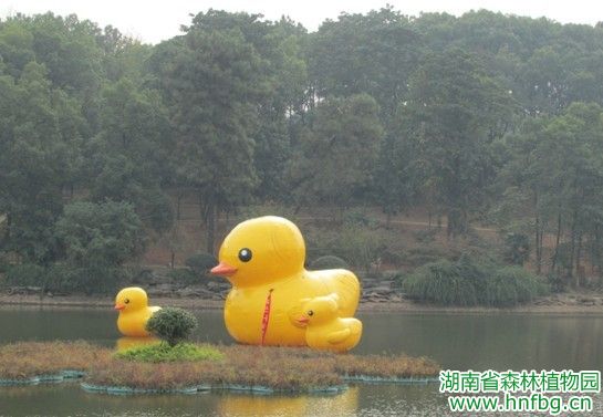AG旗舰厅(中国游)官方网站