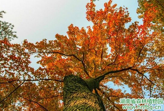 AG旗舰厅(中国游)官方网站