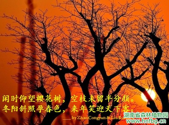 AG旗舰厅(中国游)官方网站