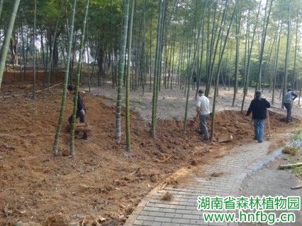 AG旗舰厅(中国游)官方网站