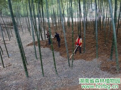 AG旗舰厅(中国游)官方网站