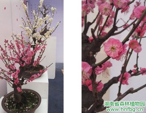 AG旗舰厅(中国游)官方网站