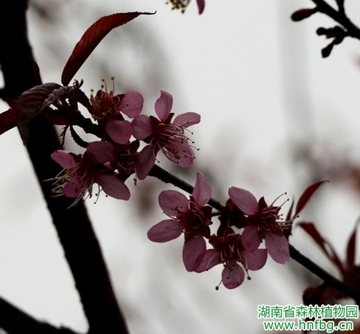 AG旗舰厅(中国游)官方网站