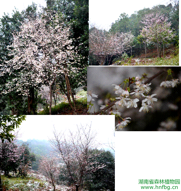 AG旗舰厅(中国游)官方网站