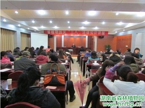AG旗舰厅(中国游)官方网站