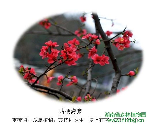 AG旗舰厅(中国游)官方网站